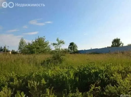 Участок в Пензенский район, Алферьевский сельсовет, село Алферьевка ... - Фото 1