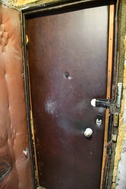 1-комнатная квартира: Санкт-Петербург, Сиреневый бульвар, 8к1 (32.5 м) - Фото 1