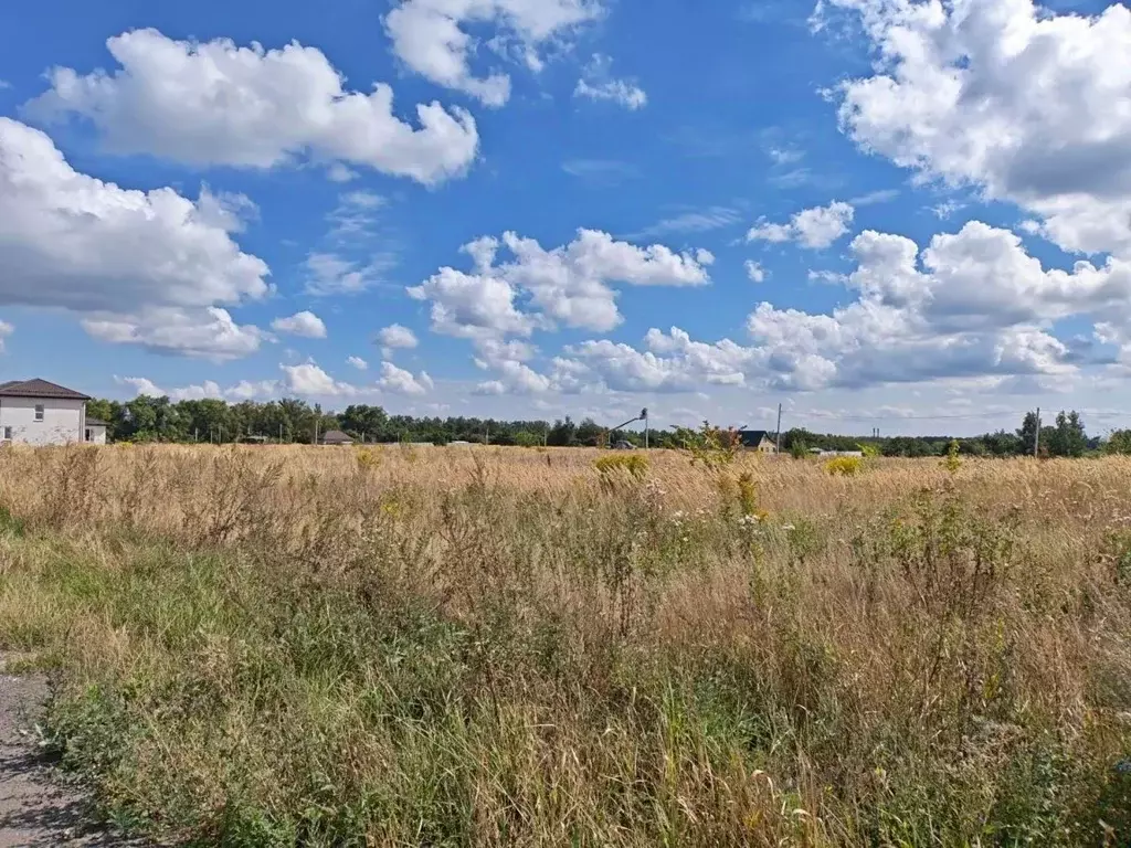 Участок в Курская область, Курск ул. Медовая (10.0 сот.) - Фото 2