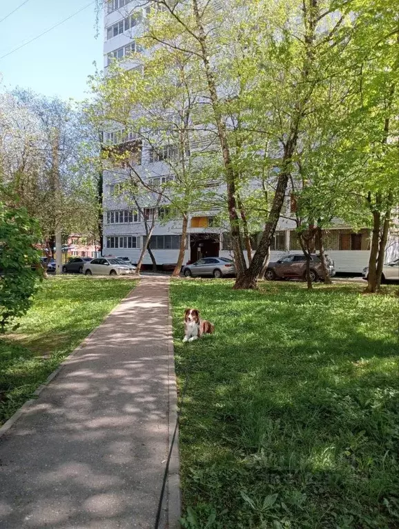 1-к кв. Москва ул. Винокурова, 13к1 (35.2 м) - Фото 1