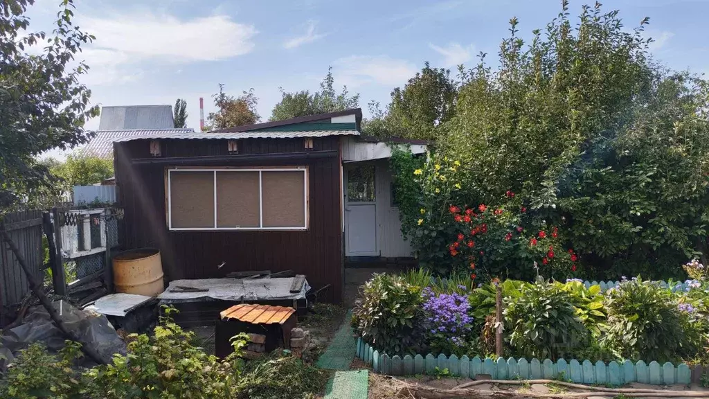 Дом в Омская область, Омск СНТ Опора ТСН, аллея 8-я, 229 (15 м) - Фото 2