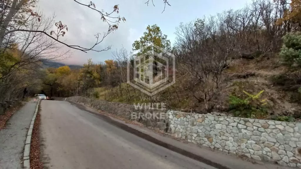 Участок в Крым, Ялта ул. Кирова (10.0 сот.) - Фото 2