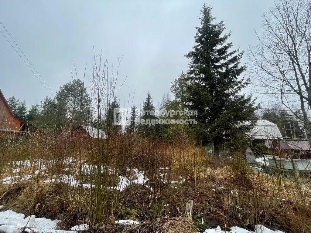 Участок в Ленинградская область, Выборгский район, Рощинское городское ... - Фото 1