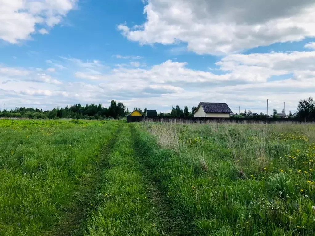 Участок в Новгородская область, Новгородский район, Бронницкое с/пос, ... - Фото 0