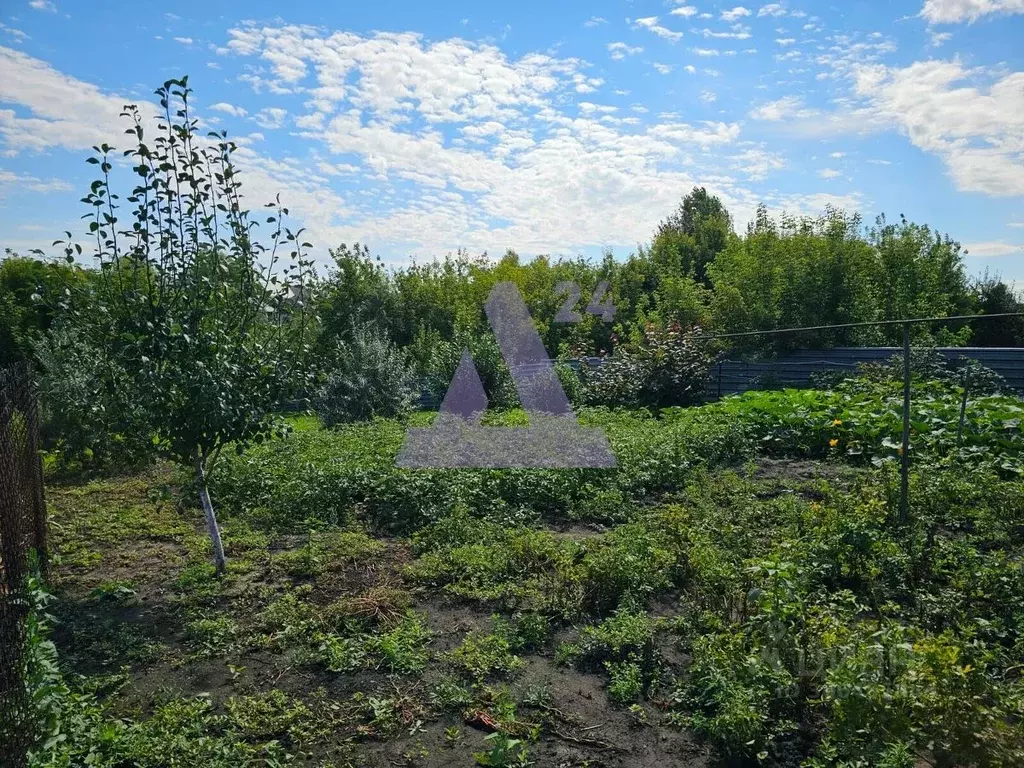 Участок в Алтайский край, Барнаул городской округ, с. Лебяжье ул. ... - Фото 0
