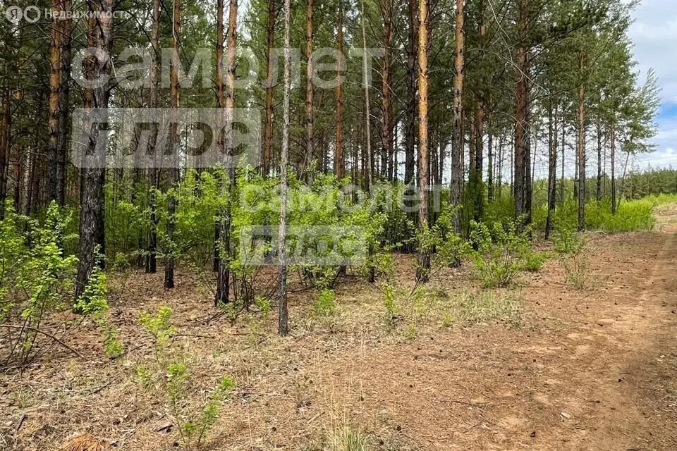 Участок в Читинский район, посёлок городского типа Атамановка (7 м) - Фото 1