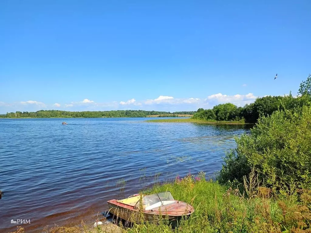 Участок в Вологодская область, Белозерский муниципальный округ, д. ... - Фото 1