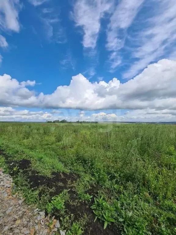 Участок в Мордовия, Лямбирский район, Берсеневское с/пос, Альтерра кп  ... - Фото 2