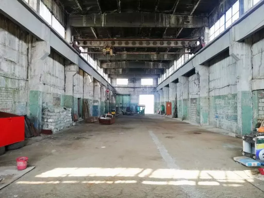 Производственное помещение в Новгородская область, Новгородский район, ... - Фото 1