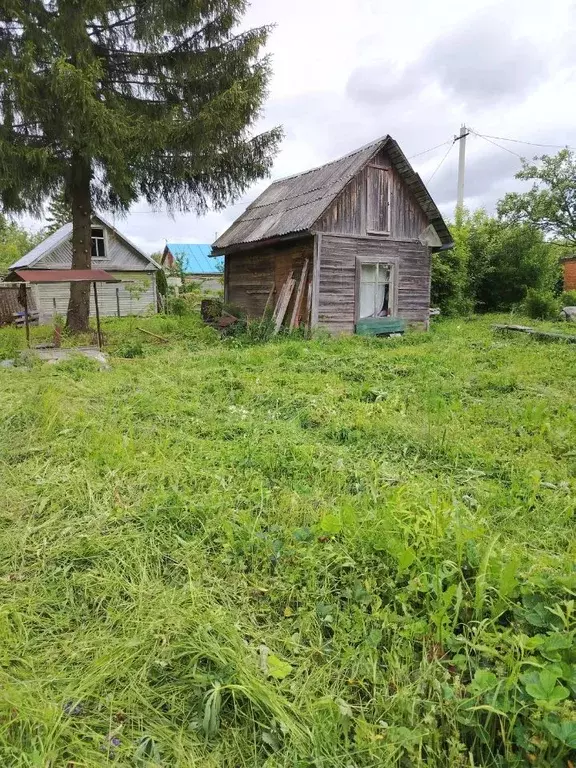 Участок в Вологодская область, Авиатор садоводческое товарищество  ... - Фото 0