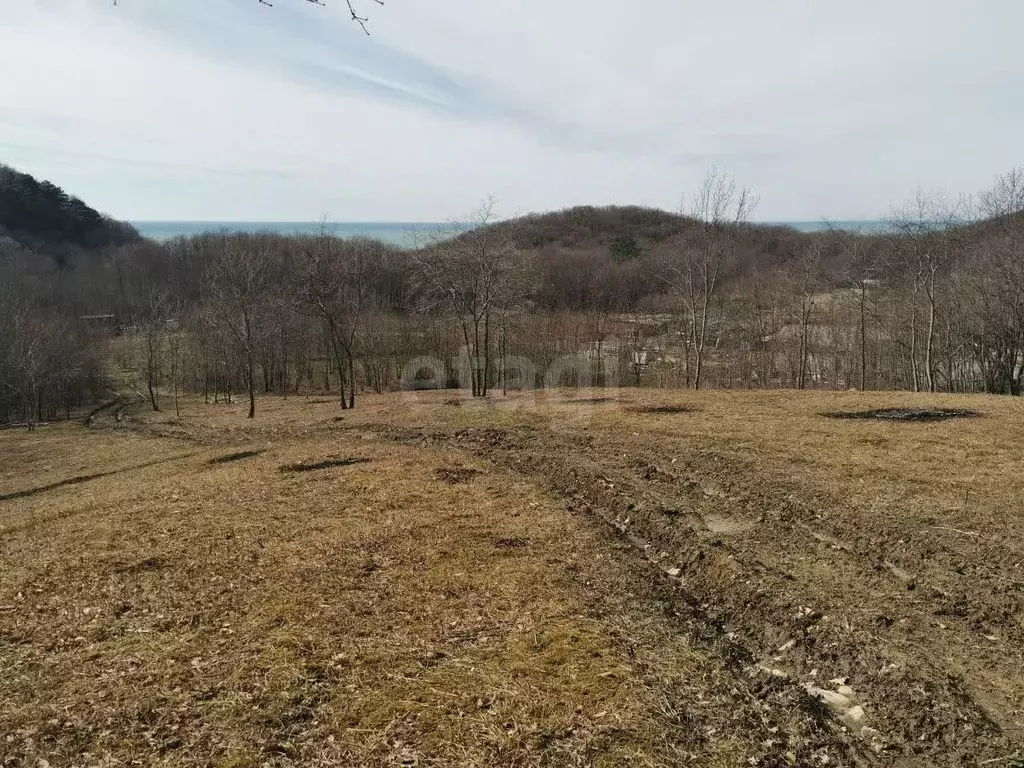 Участок в Краснодарский край, Геленджик городской округ, Бетта СТ  ... - Фото 1