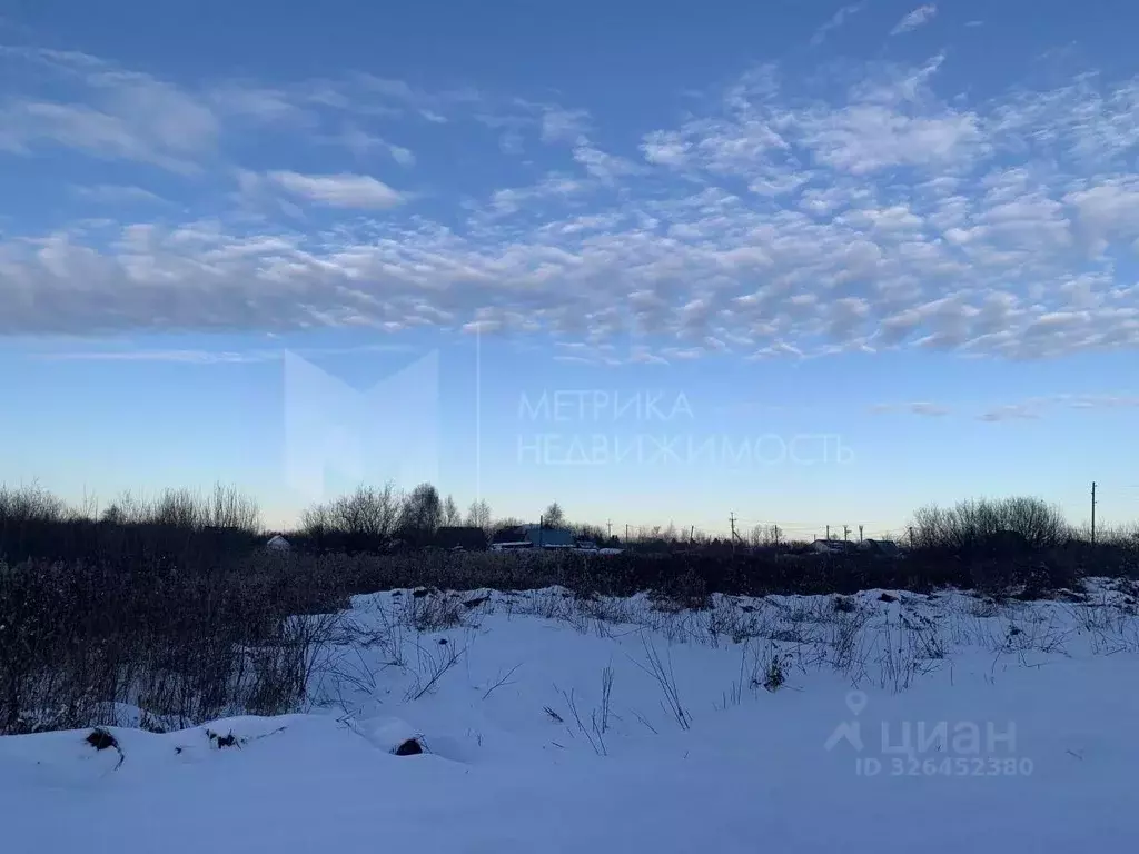 Участок в Тюменская область, Тюменский муниципальный округ, ... - Фото 1