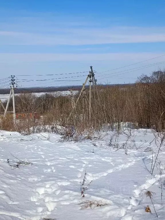 Участок в Хабаровский край, Хабаровский район, с. Казакевичево ... - Фото 0