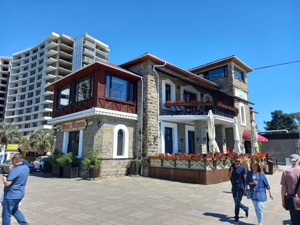 Помещение свободного назначения в Краснодарский край, Сочи ул. ... - Фото 1