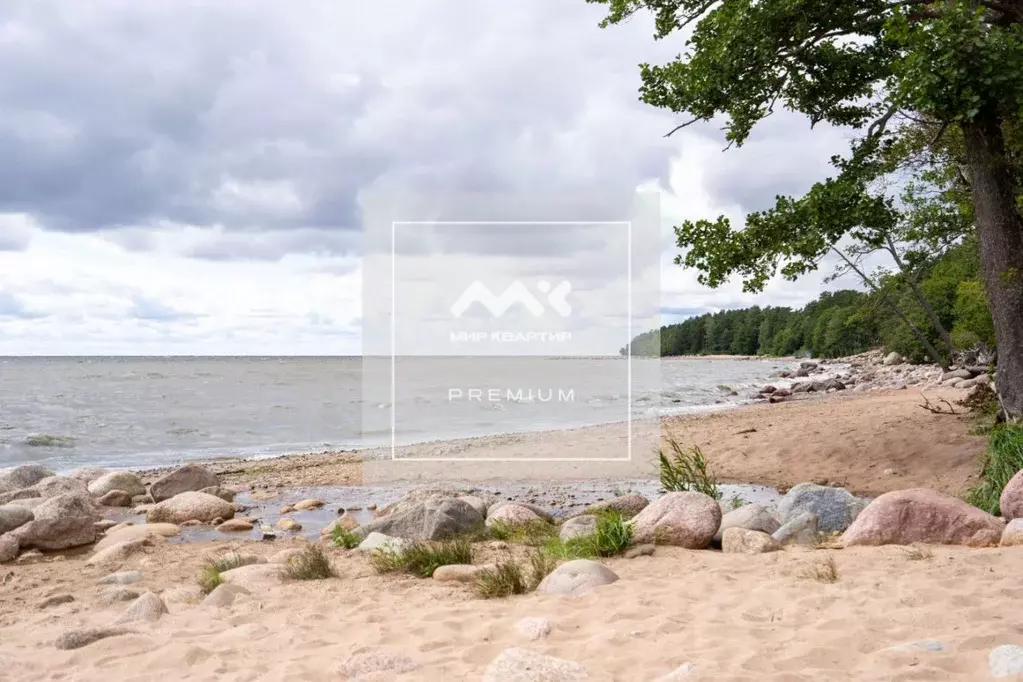 Участок в Ленинградская область, Выборгский район, Полянское с/пос, ... - Фото 0