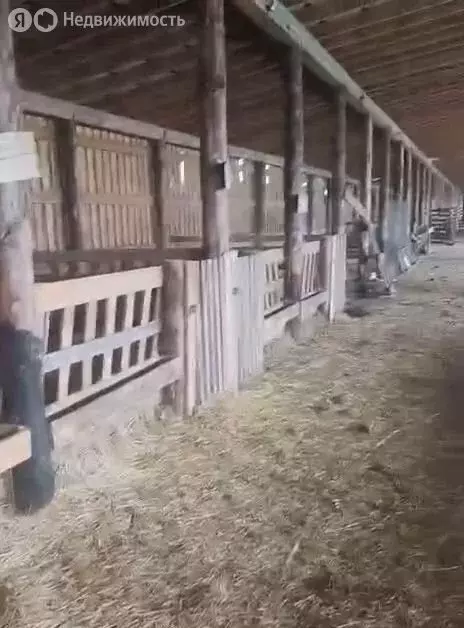 Участок в Бор, улица Ленина (2000 м) - Фото 2