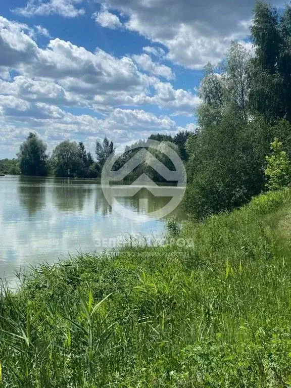 Участок в Московская область, Старая Купавна Богородский городской ... - Фото 0