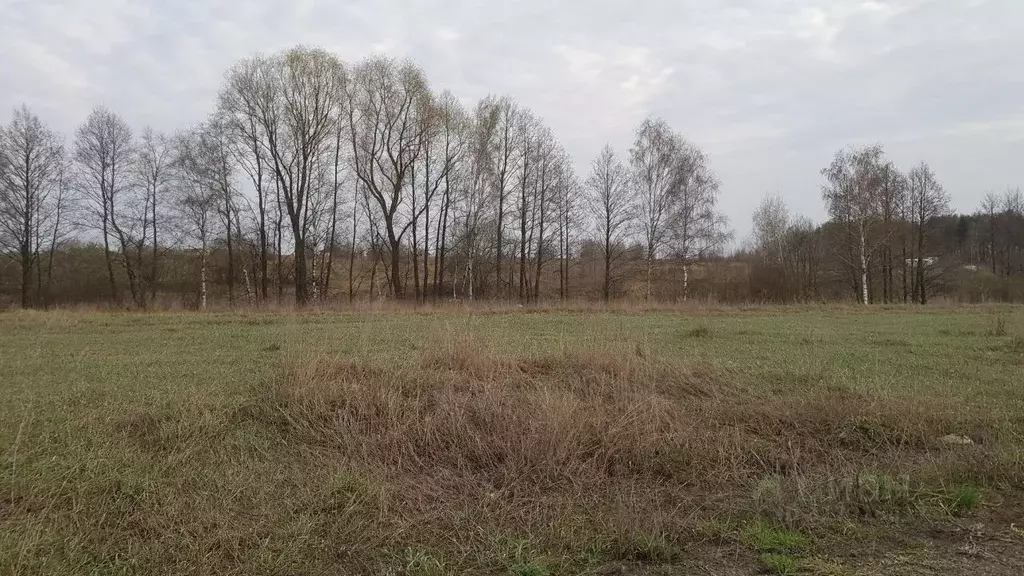 Участок в Московская область, Раменское ул. Осенняя (15.81 сот.) - Фото 0