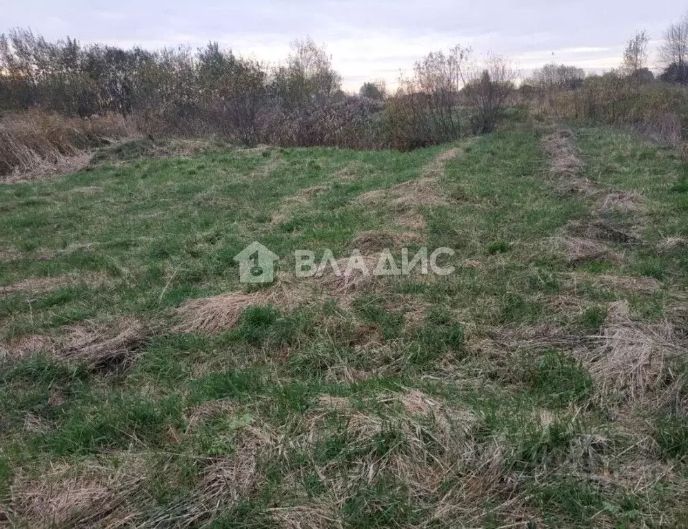 Участок в Калининградская область, Зеленоградский муниципальный округ, ... - Фото 1