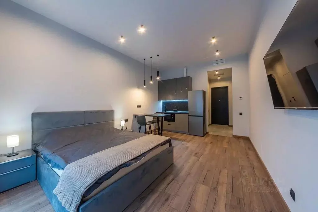 Студия Санкт-Петербург наб. Макарова, 58 (30.0 м) - Фото 0