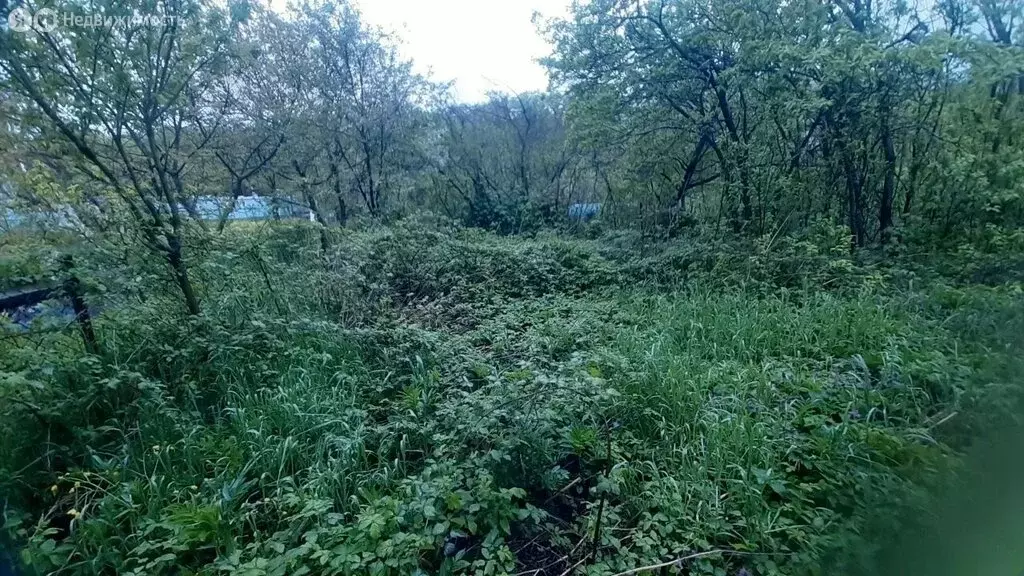 Участок в Горячий Ключ, Новая улица (9 м) - Фото 2