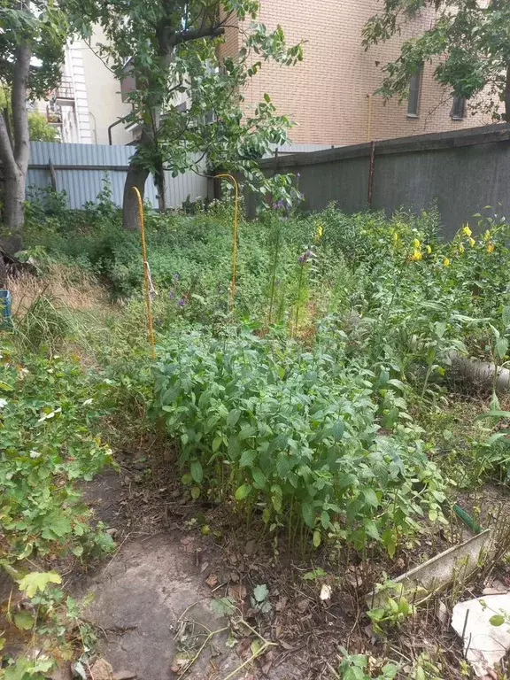 Участок 3,3 сот. (ИЖС) - Фото 1
