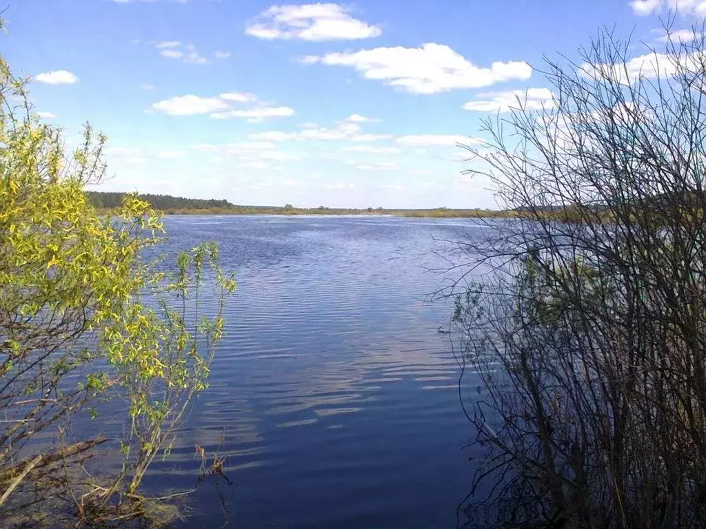Погода в озерках клепиковского. Погода в озерках клепиковского