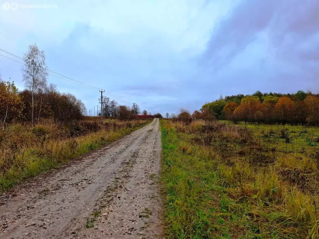 Участок в Владимирская область, Киржачский район, муниципальное ... - Фото 0