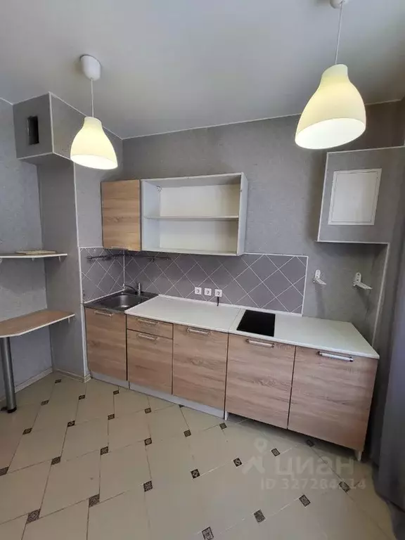 1-к кв. Псковская область, Псковский район, Завеличенская волость, д. ... - Фото 2