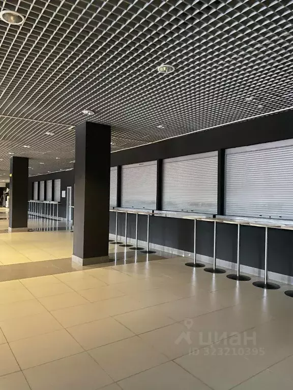 Помещение свободного назначения в Челябинская область, Челябинск ул. ... - Фото 2