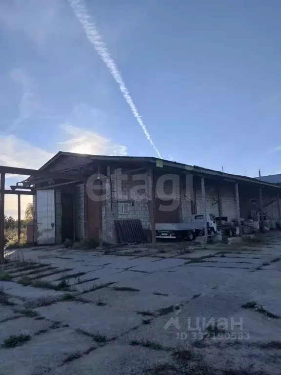 Помещение свободного назначения в Марий Эл, Медведевский район, ... - Фото 2