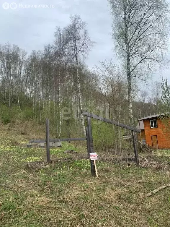 Участок в Чемальский район, село Турбаза Катунь, Новосибирская улица ... - Фото 1