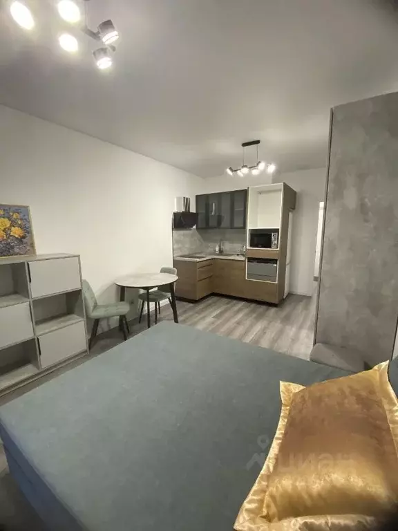 Студия Санкт-Петербург ул. Ультрамариновая, 5 (24.4 м) - Фото 2