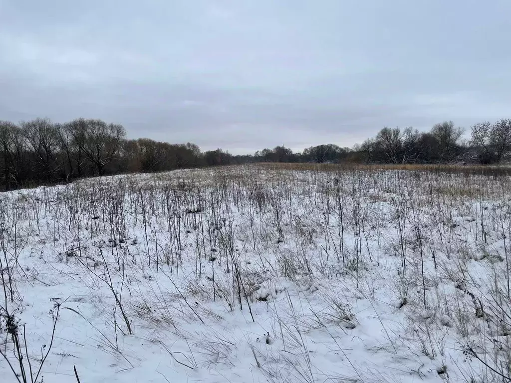 Участок в Московская область, Воскресенск городской округ, с. ... - Фото 0