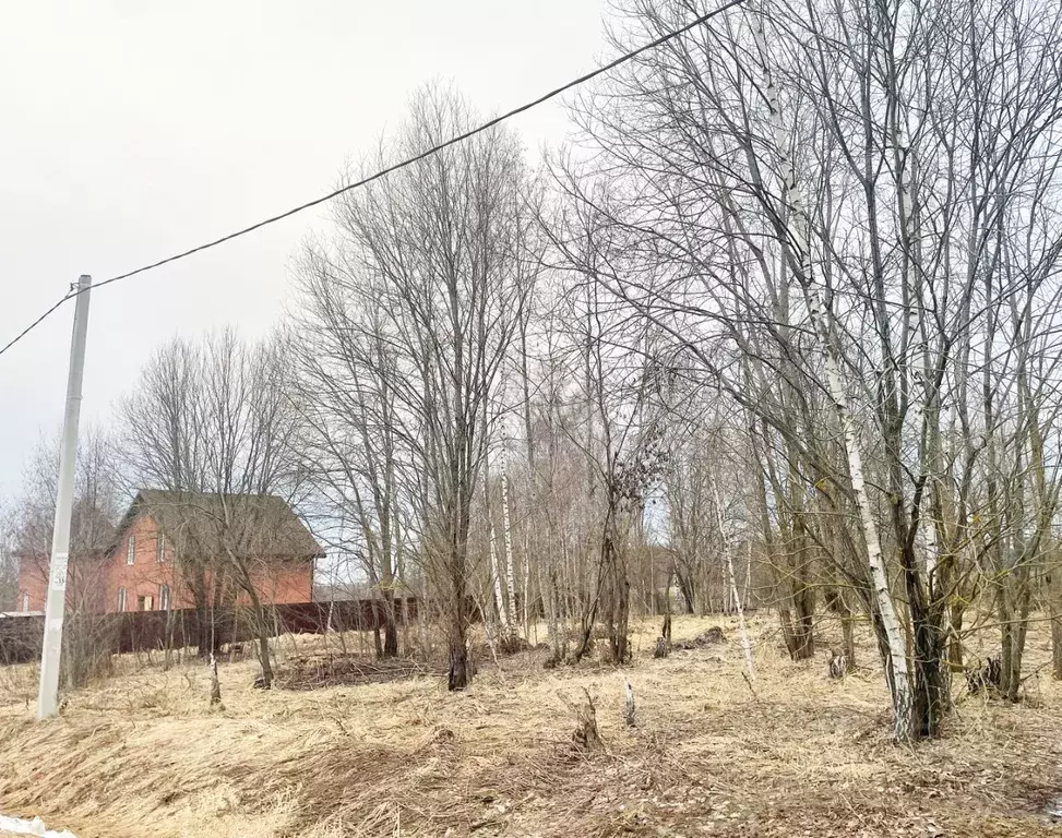 Участок в Московская область, Клин городской округ, д. Сметанино  ... - Фото 0