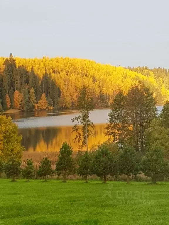 Дом в Ленинградская область, Выборгский район, Каменногорское ... - Фото 0