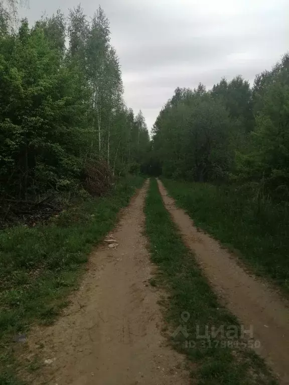 Участок в Липецкая область, Задонский район, Верхнеказаченский ... - Фото 1