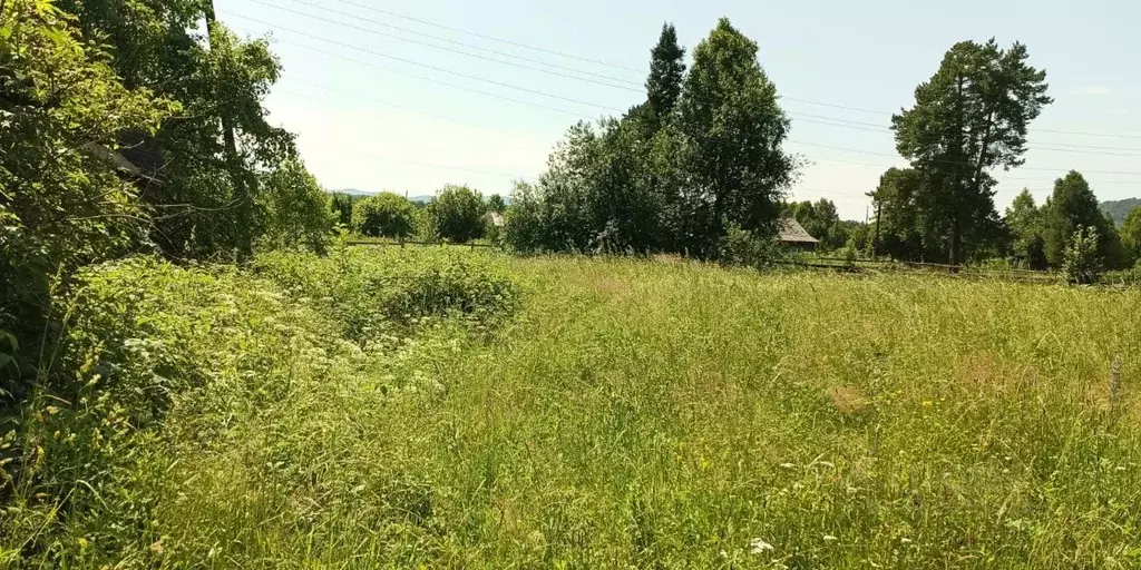 Участок в Алтай, Турочакский район, с. Дмитриевка Рабочая ул. (27.0 ... - Фото 2