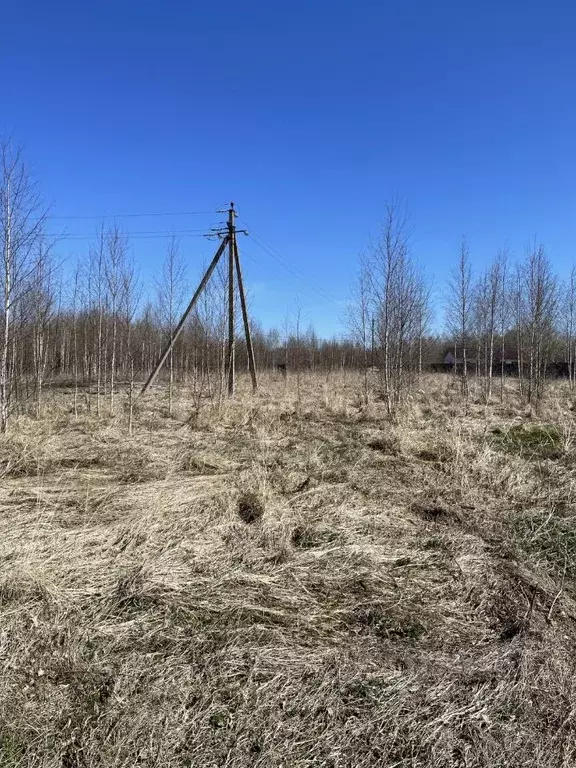 Участок в Псковская область, Гдовский муниципальный округ, д. Устье  ... - Фото 1