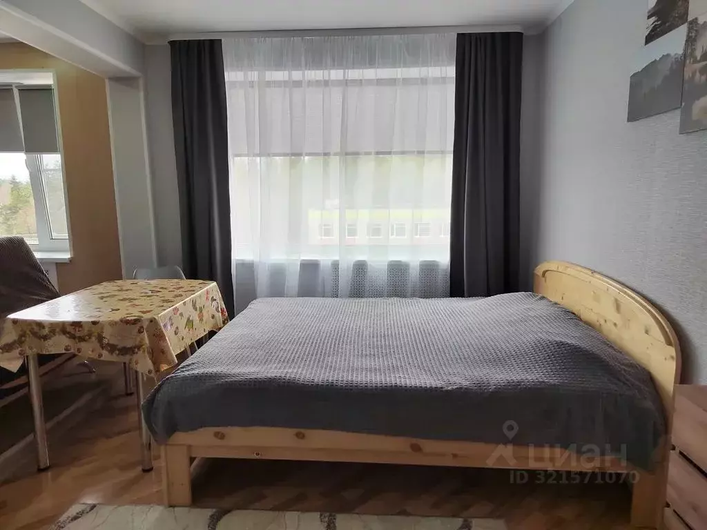 Студия Карелия, Лахденпохья Садовая ул., 17 (32.0 м) - Фото 1