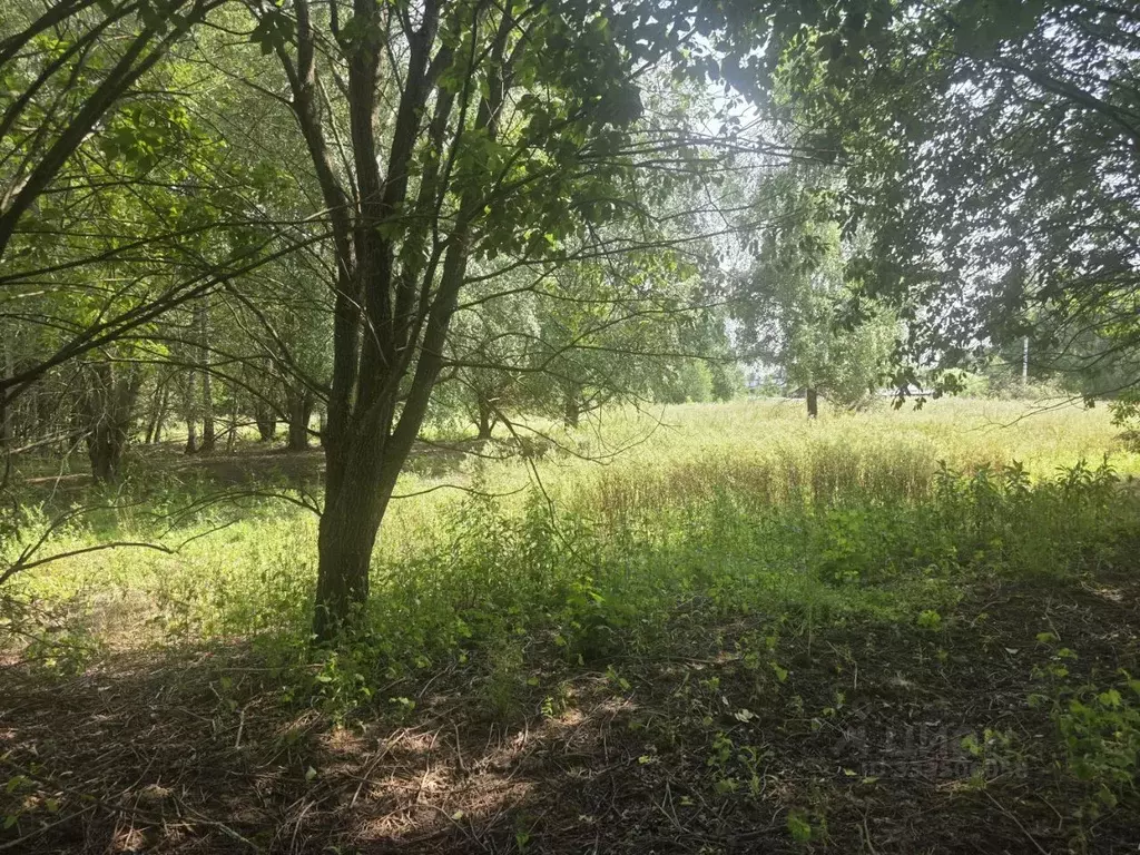 Участок в Московская область, Клин городской округ, д. Елгозино  ... - Фото 2