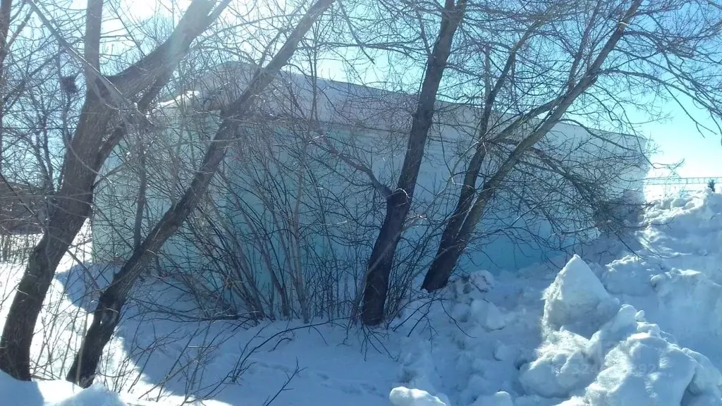 Помещение свободного назначения в Омская область, Черлакский район, ... - Фото 2
