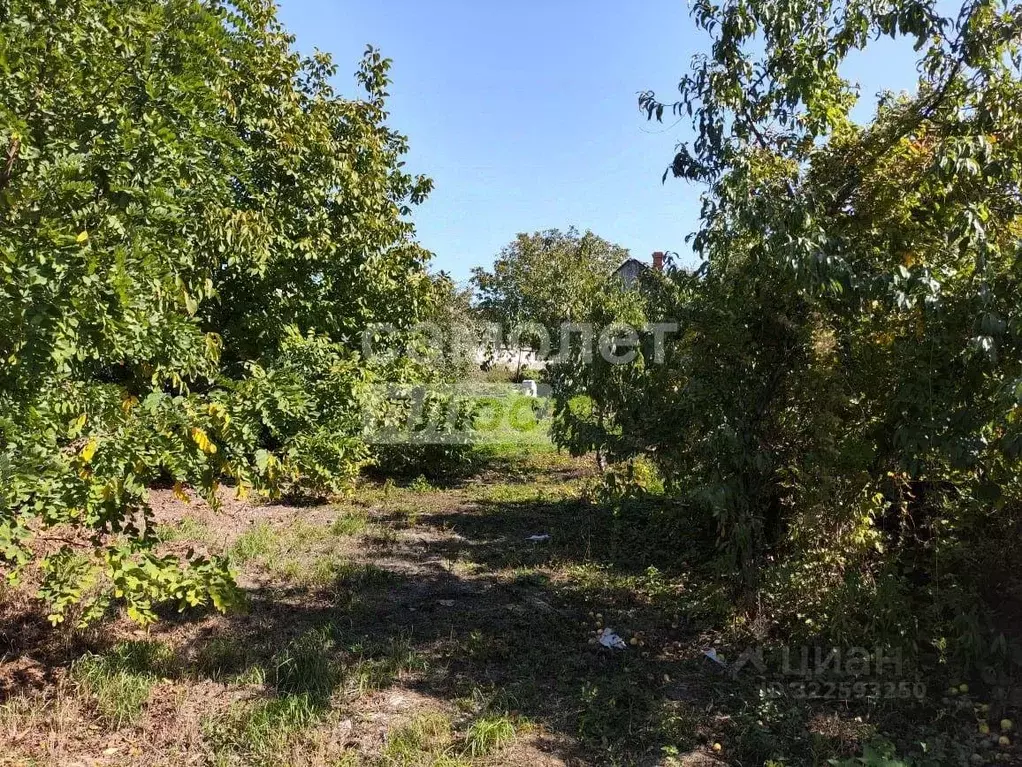 Участок, 5.8 сот., поселения (ижс) - Фото 1