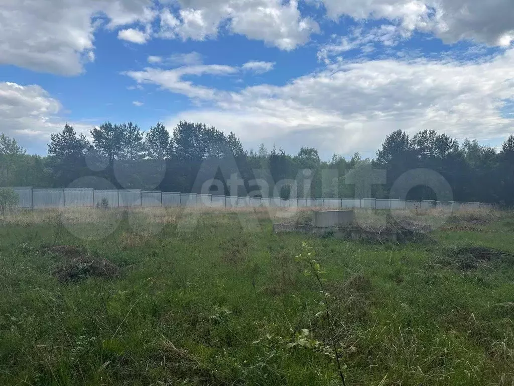 Участок 34,1 сот. (СНТ, ДНП) - Фото 0