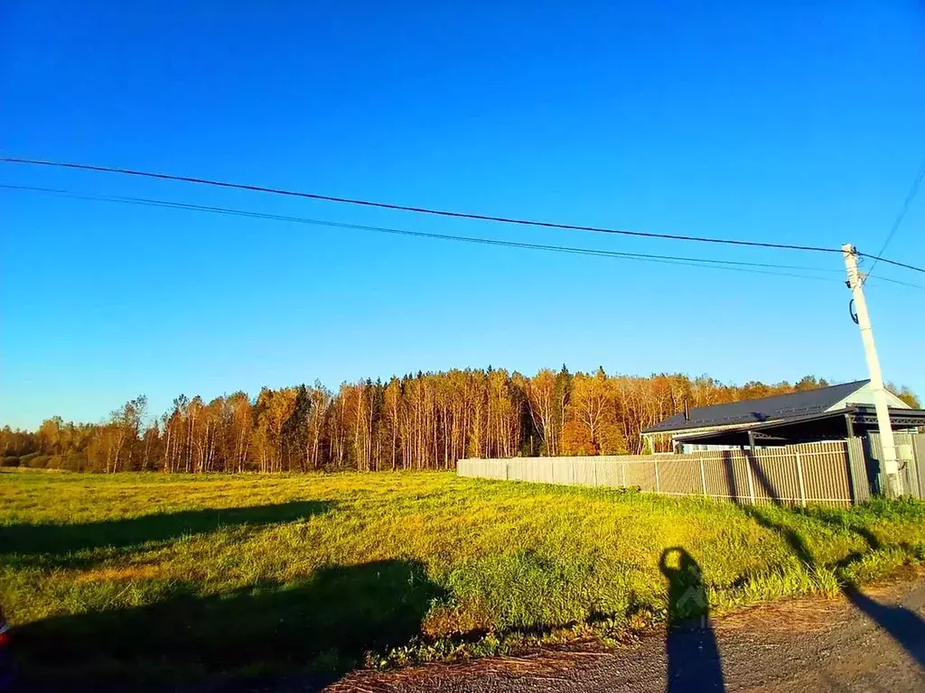 Участок в Московская область, Истра муниципальный округ, д. Загорье, ... - Фото 2