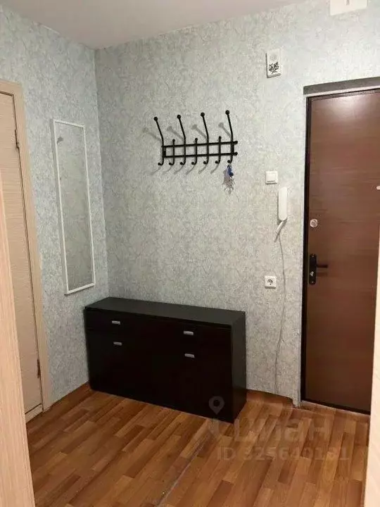 Студия Красноярский край, Красноярск ул. Вильского, 28 (33.0 м) - Фото 2