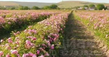 Участок в Крым, Бахчисарайский район, Железнодорожненское с/пос, с. ... - Фото 1