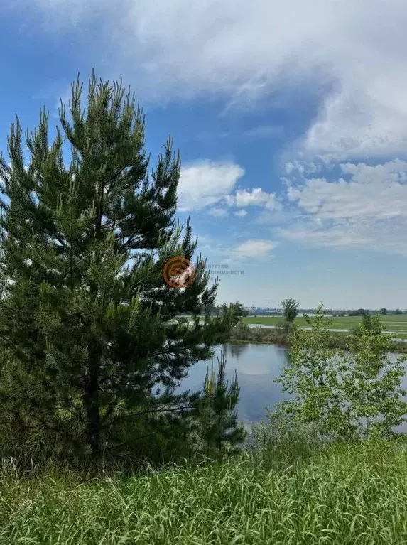 Участок в Тюменская область, Тюменский муниципальный округ, д. ... - Фото 1