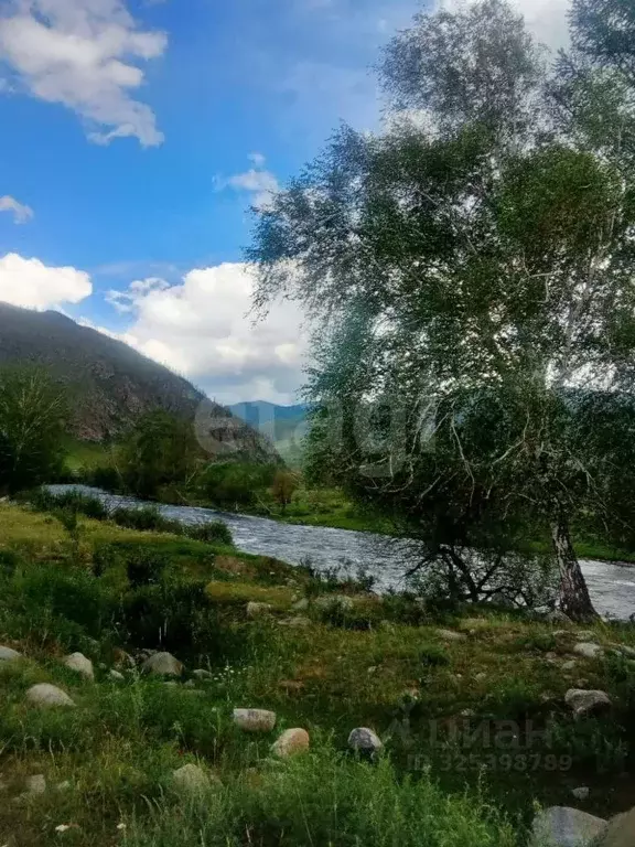 Участок в Алтай, Онгудайский район, Хабаровское с/пос, с. Улита  ... - Фото 1