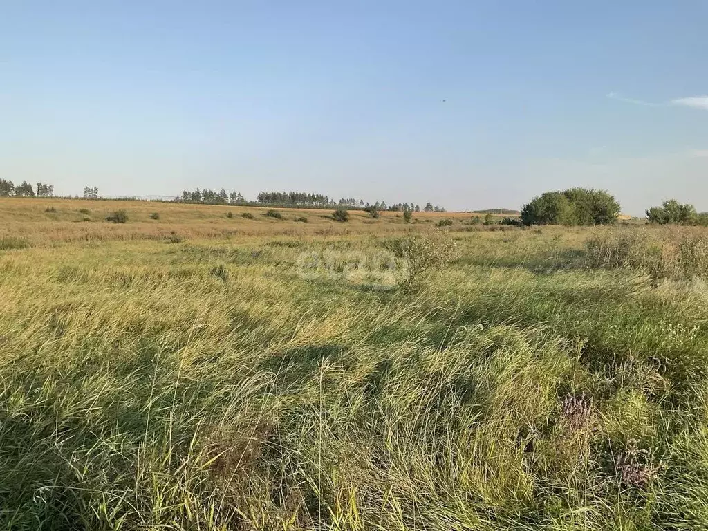 Участок в Воронежская область, Новоусманский район, Усманское 1-е ... - Фото 0